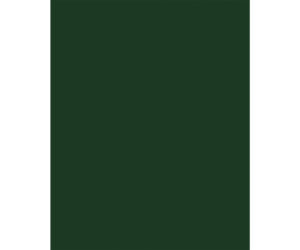LAMINADO DECORATIVO FORMIPAK VERDE FOREST BRILLANTE 1.22 m X 2.44 m X 0.6 mm